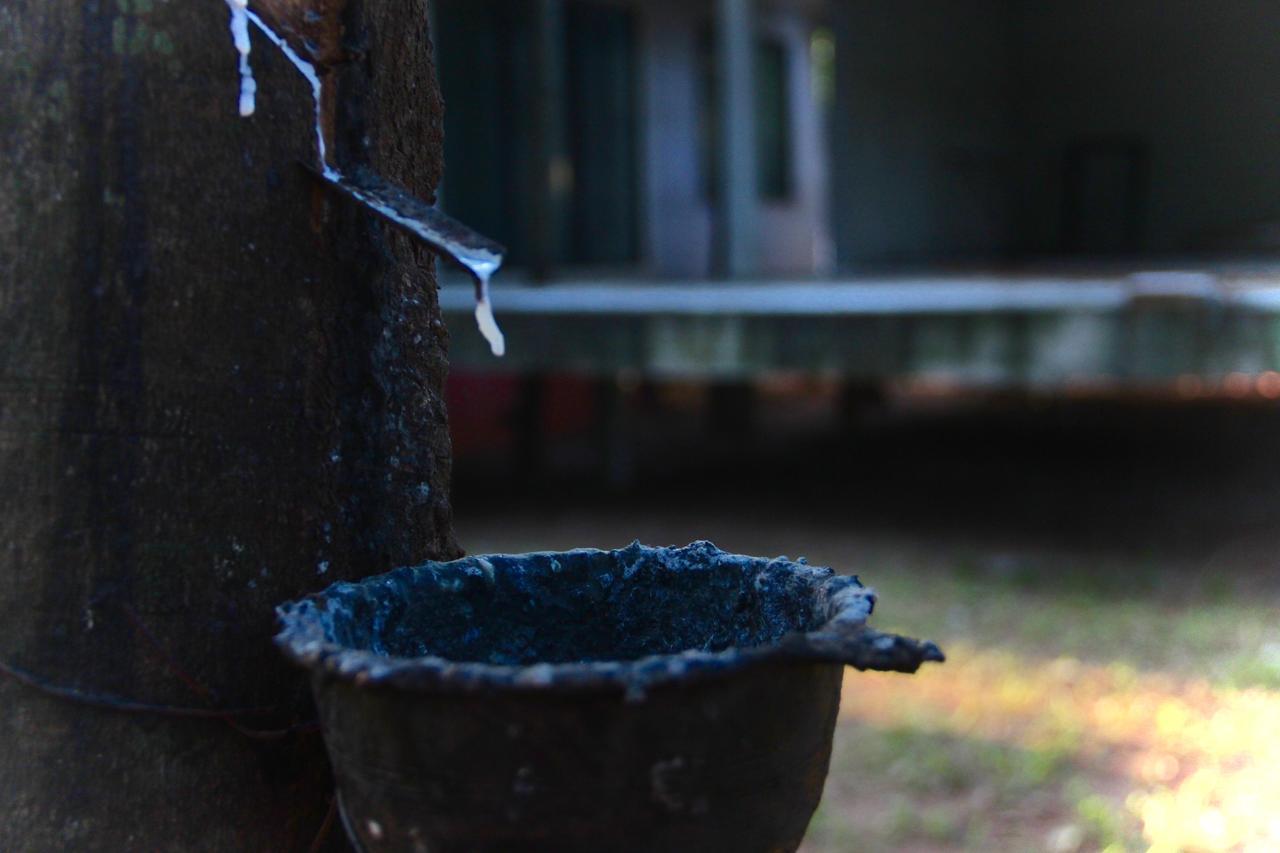 ホテル Singha Rubber Tree Ban Huai Maenam Noi エクステリア 写真