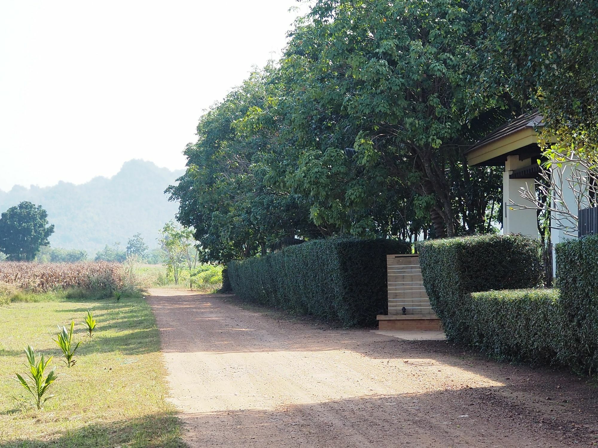 ホテル Singha Rubber Tree Ban Huai Maenam Noi エクステリア 写真