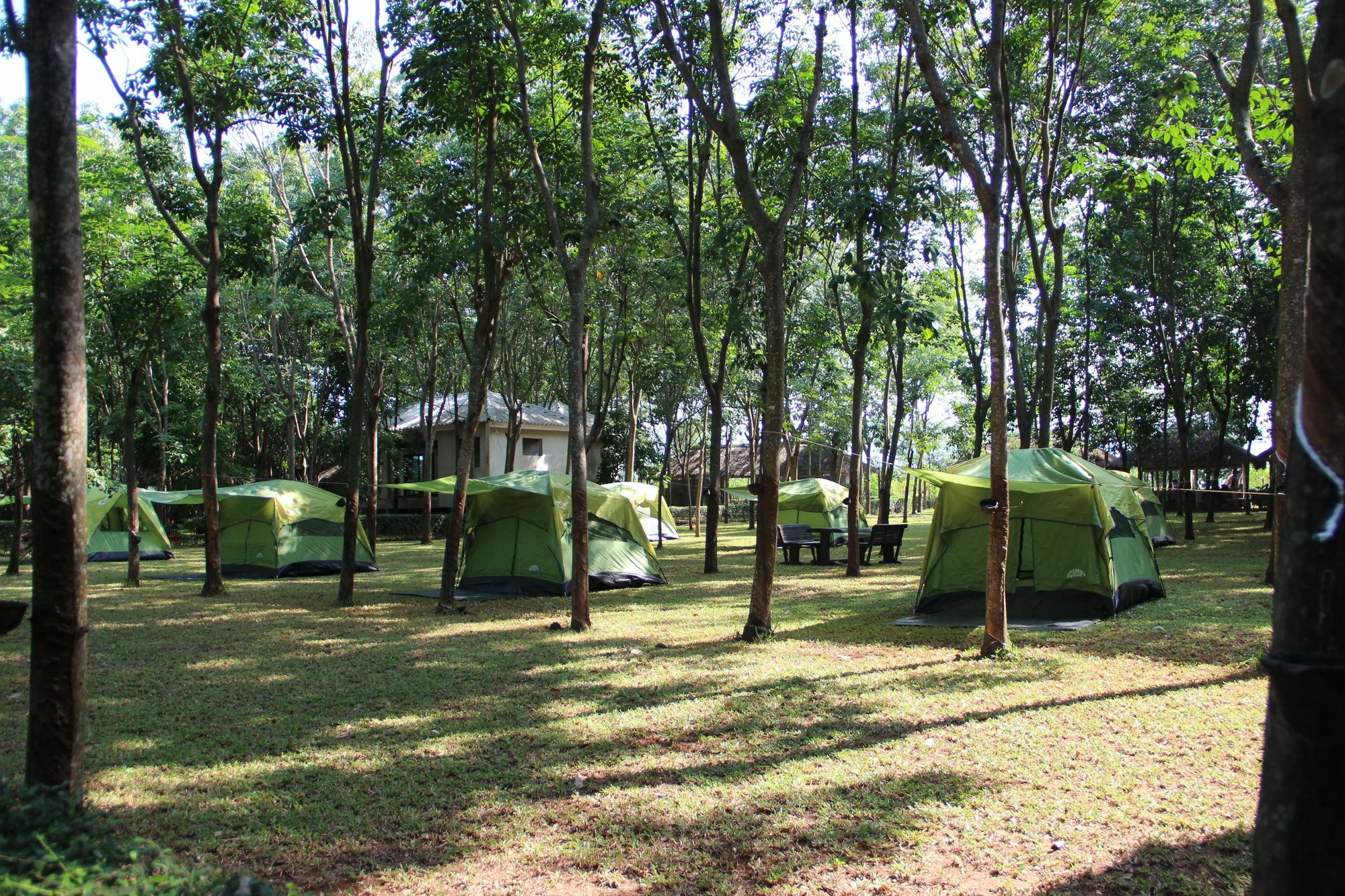 ホテル Singha Rubber Tree Ban Huai Maenam Noi エクステリア 写真